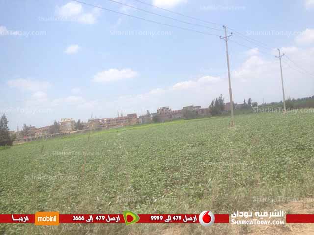 بالفيديو : قرية الهجارسه بكفر صقر بدون مياه منذ شهر .. والاهالي هاتوها ملوثة وهنشربها 1 2