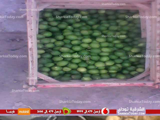 بالصور | ارتفاع أسعار السلع الغذائية وانخفاض ملحوظ في سعر الليمون مع دخول العيد بمدينة الزقازيق 5 edsx