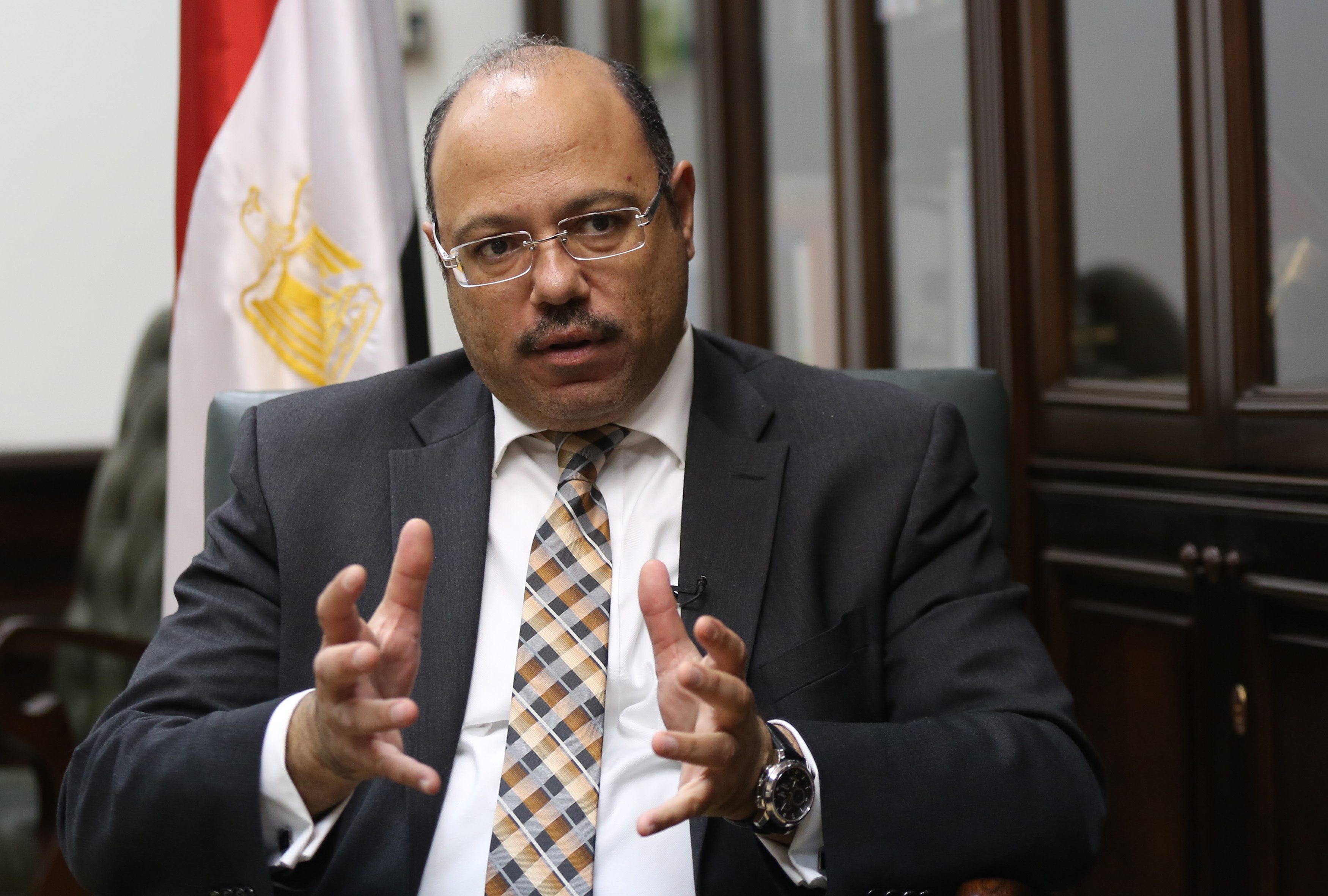 وزير المالية
