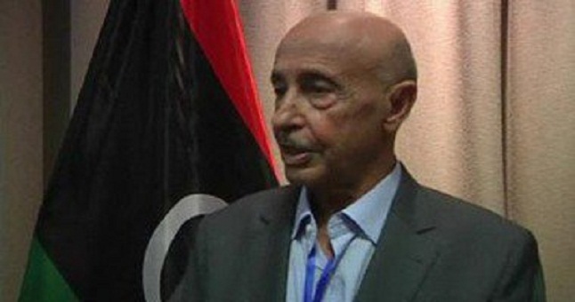 وصول رئيس مجلس النواب الليبى للمشاركة فى حفل افتتاح قناة السويس الجديدة 1 9201422233338