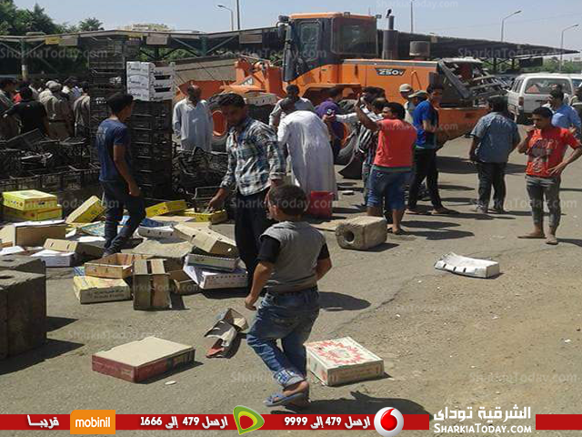 بالصور .. حملة لرفع الإشغالات بمدينة العاشر من رمضان 1 العاشر 4