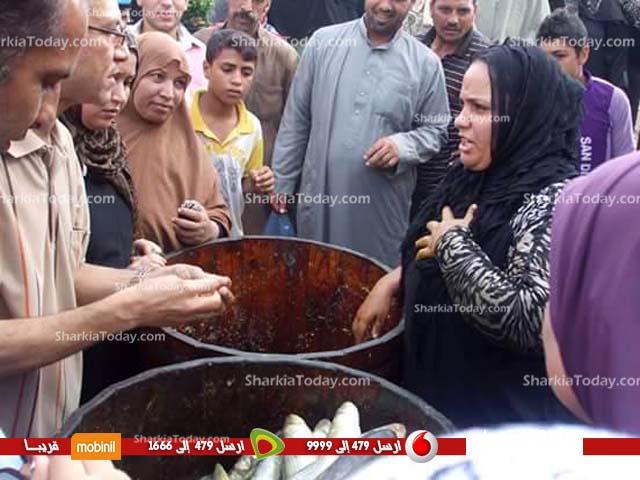 اعدام 70 كيلو سمك بقرية الشوبك بالزقازيق 3 لااىةنو