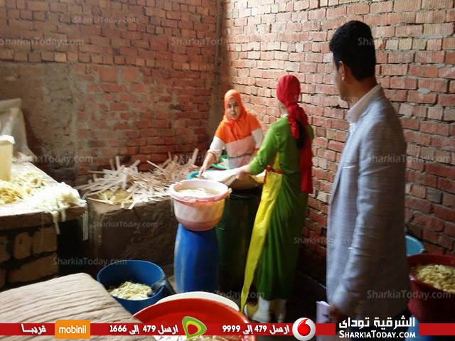بالصور . ..زراعة الشرقية تطمئن علي البردى بأبوكبير 4 ورق البردى