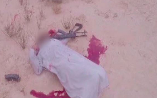 القوات المسلحة عن «حق الشهيد»: مقتل 27 تكفيريًا والقبض علي 154مشتبها به 1 Capture