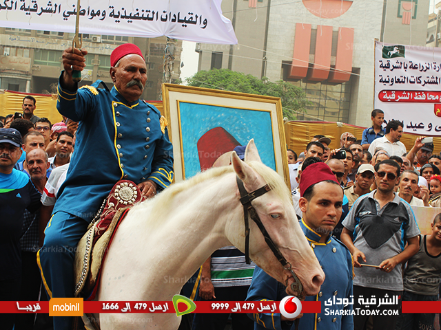 حفيد الزعيم أحمد عرابي يشارك في إحتفالات العيد القومي لمحافظة الشرقية 2 حفيد الزعيم أحمد عرابي يشارك في إحتفالات العيد القومي لمحافظة الشرقية (2)