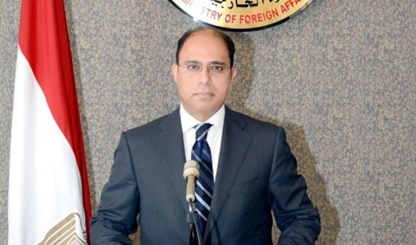 بالفيديو.. الخارجية: الدولة وفرت كل ما يلزم لدعم تصويت المصريين في الخارج 14 467