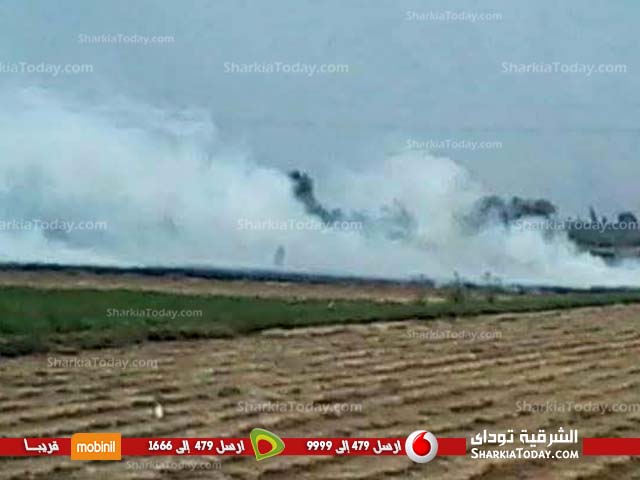 جهاز شئون البئية بالشرقية يحرر 715 محضراً حرق قش الأرز 1 استمرار حرق قش الارز بالاراضي الزراعية بمركز فاقوس (3)