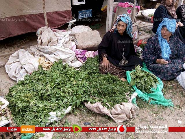 الشرقية توداى بسوق الثلاثاء..حواديت طلب الرزق فى سوق من تراث الماضى 1 الشرقية توداى بسوق الثلاثاء..حواديت طلب الرزق فى سوق من تراث الماضى (3)
