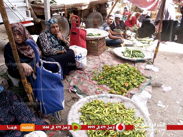 الشرقية توداى بسوق الثلاثاء..حواديت طلب الرزق فى سوق من تراث الماضى 5 الشرقية توداى بسوق الثلاثاء..حواديت طلب الرزق فى سوق من تراث الماضى (6)