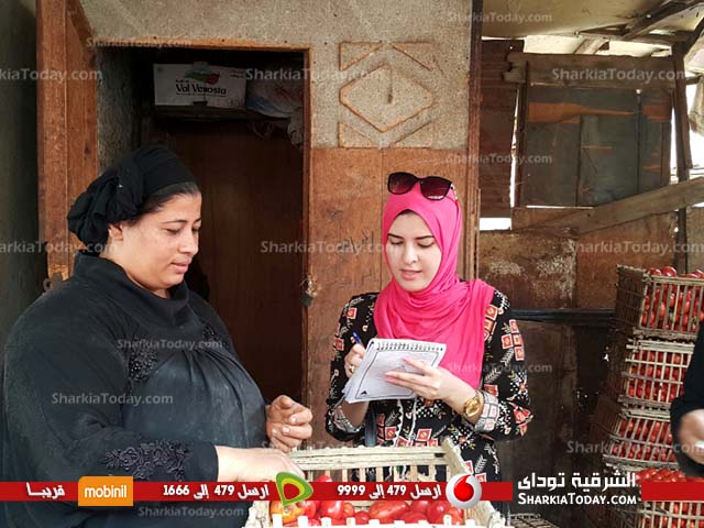 المواطن الشرقاوى يصرخ من إرتفاع سعر الطماطم " مجنونة يا قوطة " 5 المواطن الشرقاوى يصرخ من إرتفاع سعر الطماطم (5)