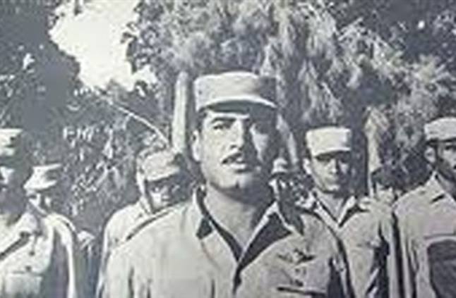 عمرو طلبة