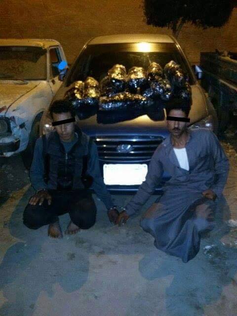 مباحث اﻻبراهيمية تنجح فى ضبط 50 كيلو بانجو قبل توزيعها 1 12189757_1482480162058871_7166779454991055284_n