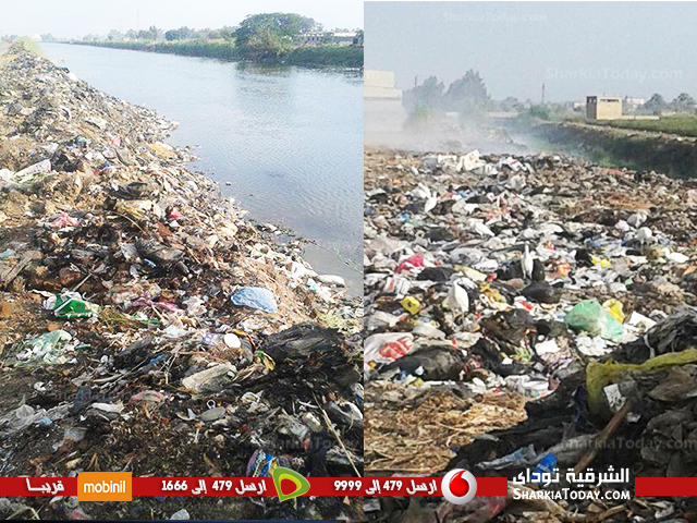 بالصور..شكوى من انتشار القمامة بكفر الغنيمي بمركز منيا القمح 1 e