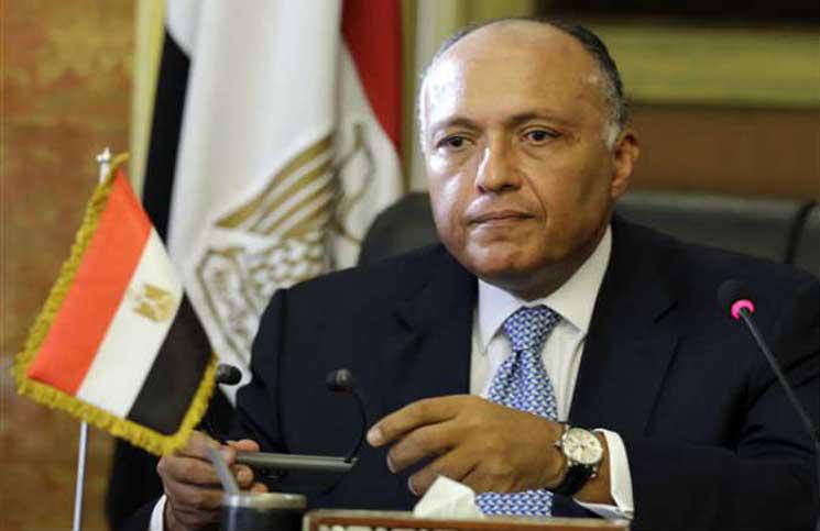 الخارجية السيسي مهتم بنقل التجربة اليابانية المتميزة في مجال التعليم إلى مصر
