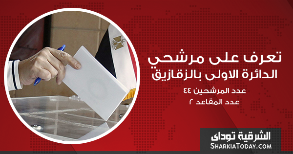 الزقازيق 11