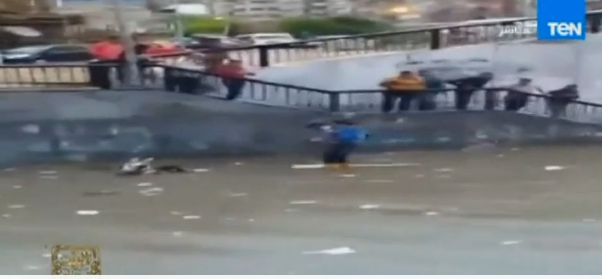 بالفيديو .. حمار ينقذ صاحبه من الغرق بأمطار الأسكندرية