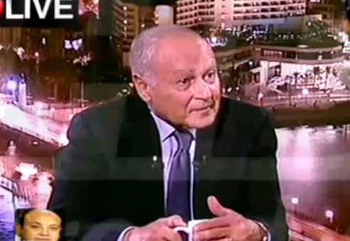 أبو الغيط
