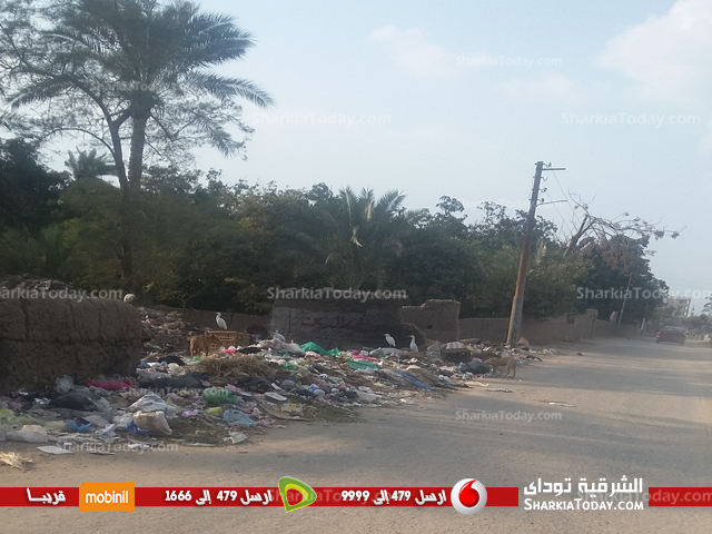 السناجرة