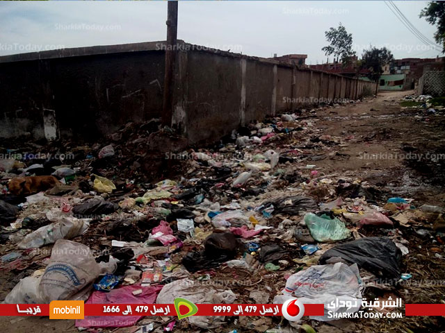 ما بين نقص الخدمات و تهالك المستشفى العام.. أهالى الصالحية القديمة يشتكون من الاهمال 5 3