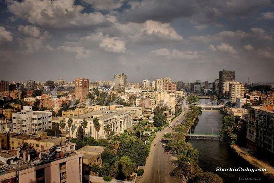 تعرف على أبرز أحداث الشرقية خلال 24 ساعة 1 50c5379602e3888556691e0047069947