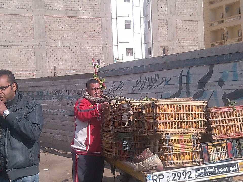 حي أول الزقازيق يشن حملة لرفع الإشغالات بشوارع المدينة 3 940902_1139217872757077_8362151175769324937_n