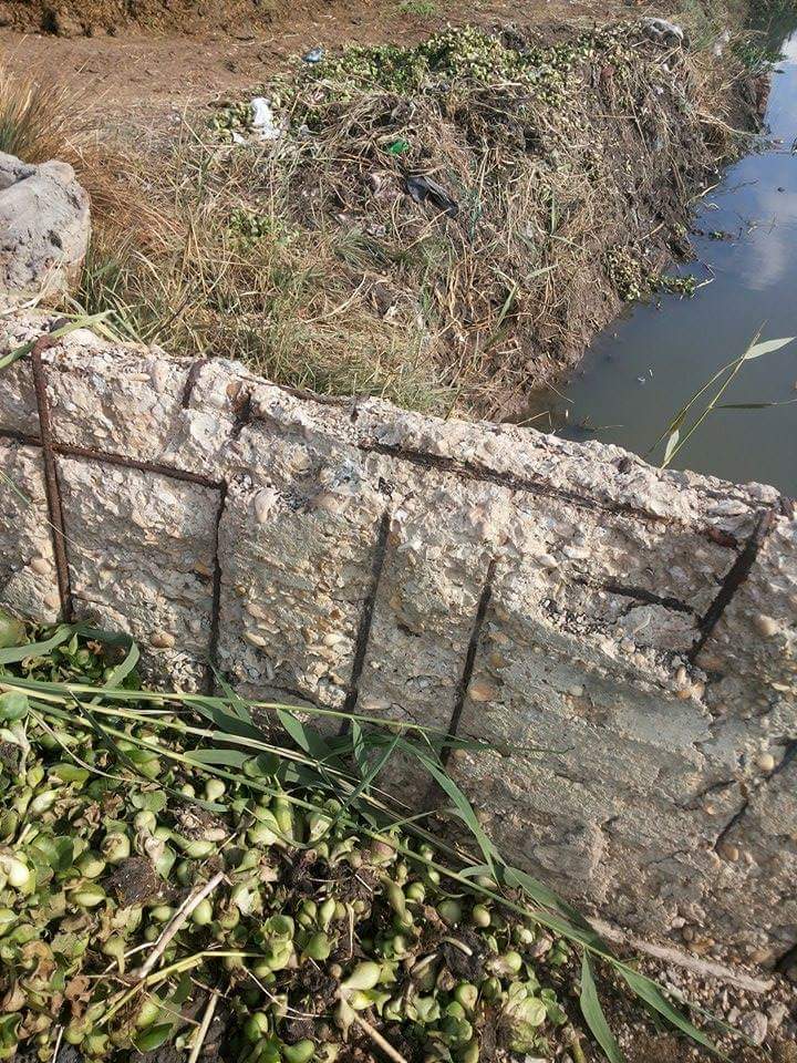 استياء بين مواطني فاقوس بسبب سوء حالة كوبري « مصرف بحر البطيخ» 1 FB_IMG_1451740814503