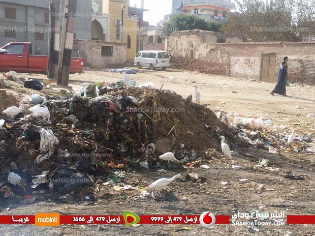 الصرف الصحي والقمامة يحاصران قرية الديدموان بفاقوس (1)