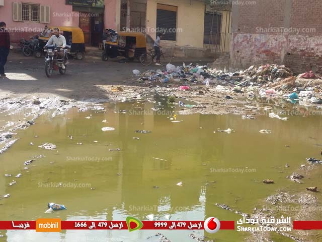 الصرف الصحي والقمامة يحاصران قرية الديدموان بفاقوس (2)