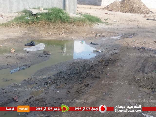 الصرف الصحي والقمامة يحاصران قرية الديدموان بفاقوس (3)