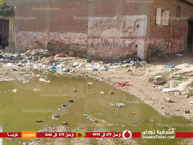 الصرف الصحي والقمامة يحاصران قرية الديدموان بفاقوس (4)