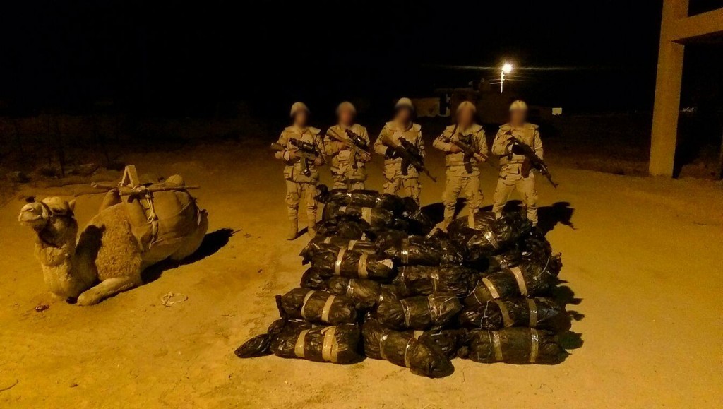 ضبط 4 طن بانجو و 294 طلقة نارية وتفجير عبوتين ناسفتين بسيناء 6 ضبط 3.8طن بانجو و294طلقة نارية وتفجير عبوتين ناسفتين بسيناء (6)