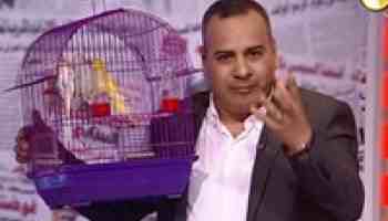 بالفيديو .. جابر القرموطي يحضر قفص عصافير على الهواء 14 القرموطي والعصافير