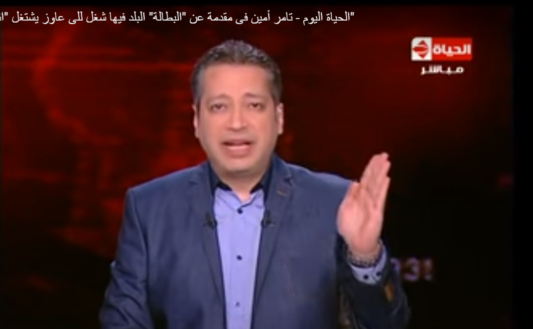 تامر أمين