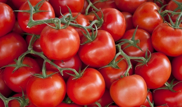 851