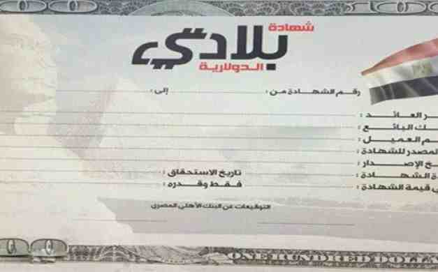 الخصائص الكاملة لشهادة بلادى الدولارية 10 شهادة بلادي الدولارية