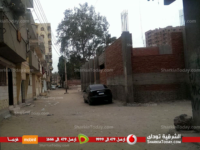 غابة من أسلاك الكهرباء تهدد حياة سكان شارع المعهد الديني بفاقوس‏ (1)