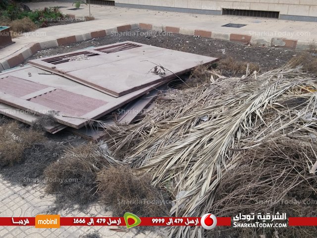 بالفيديو..مستشفى المعلمين بالزقازيق..مبنى مهجور تسكنه أحلام المعلمين ويحاصره الروتين 7 مستشفى المعلمين بالزقازيق..مبنى مهجور تسكنه أحلام المعلمين ويحاصره الروتين (1)