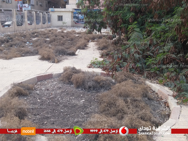 بالفيديو..مستشفى المعلمين بالزقازيق..مبنى مهجور تسكنه أحلام المعلمين ويحاصره الروتين 8 مستشفى المعلمين بالزقازيق..مبنى مهجور تسكنه أحلام المعلمين ويحاصره الروتين (8)