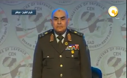 وزير الدفاع المصري