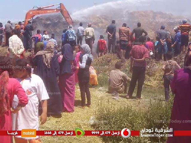 حريق هائل بشونة قش بمركز أولاد صقر‏ (2)