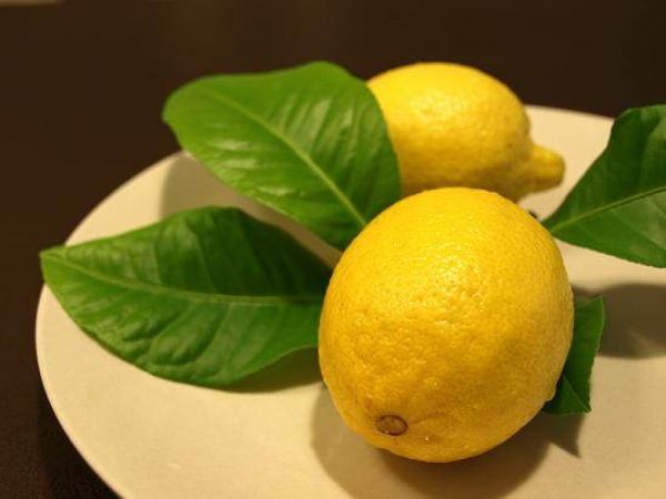 ثمرة الليمون