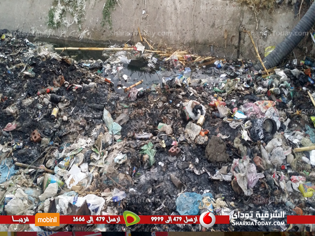 مصرف عزبة وفا بفاقوس مأوي لانتشار الأوبئة والأمراض 2 123r