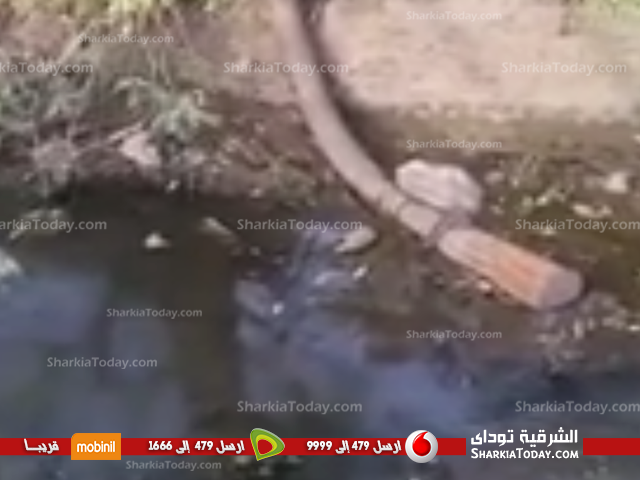 «الصرف الصحي» يروي مشاتل الأرز بالحسينية 1 2345