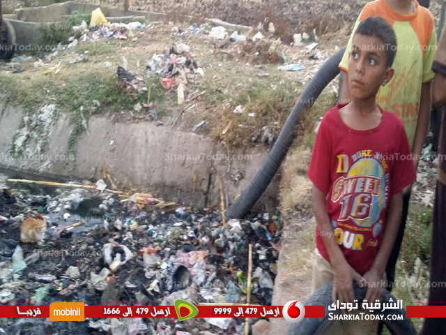 مصرف عزبة وفا بفاقوس مأوي لانتشار الأوبئة والأمراض 1 2wedf