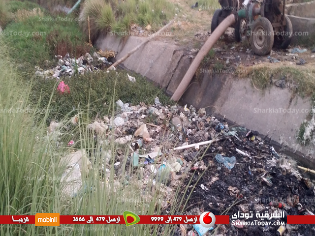 مصرف عزبة وفا بفاقوس مأوي لانتشار الأوبئة والأمراض 3 2wer
