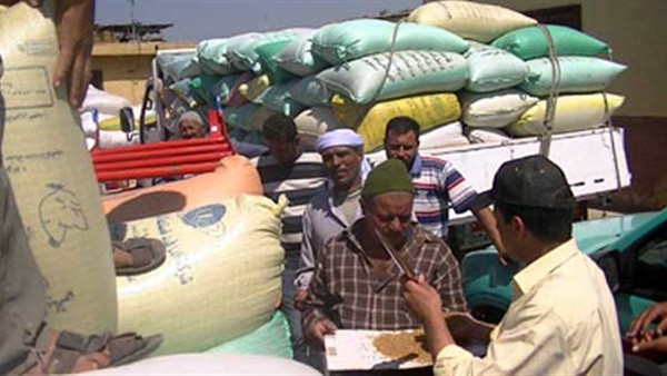 محافظ الشرقية : توريد 493 ألف طن من القمح 1 516