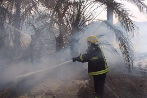 حريق هائل بمزرعة بالصالحية 1 56e427b160bb0