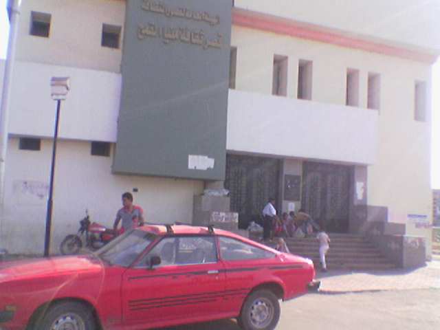 قصر ثقافة منيا القمح