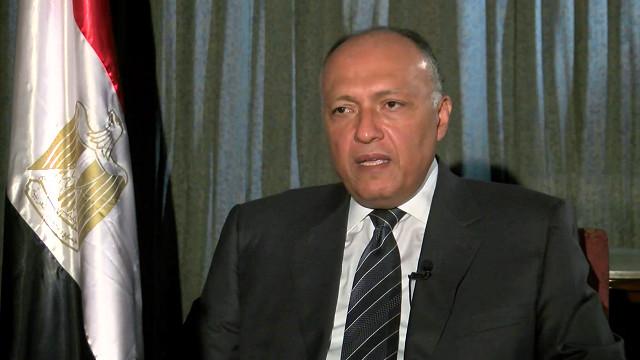 سامح شكري وزير الخارجية المصري