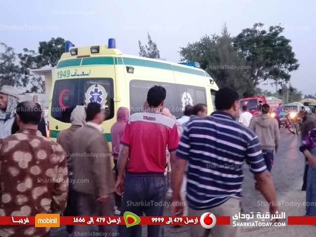 إصابة شخصين بحادث بطريق «الحسينية - صان الحجر» 2 التصادم2